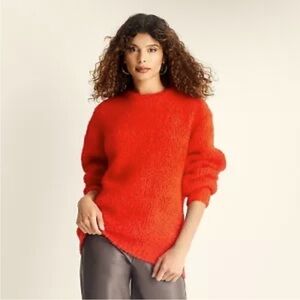Women's Crewneck Relaxed Teddy Sweater - Future Collective Red